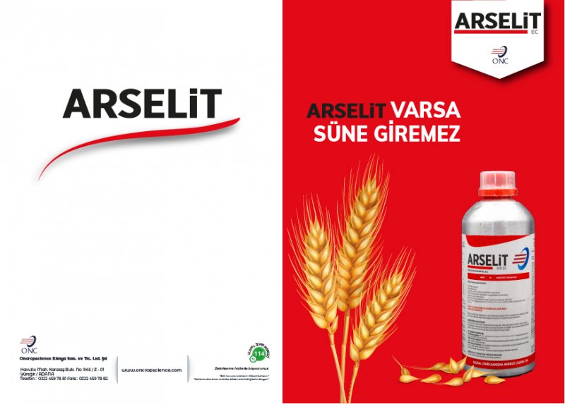 ARSELİT