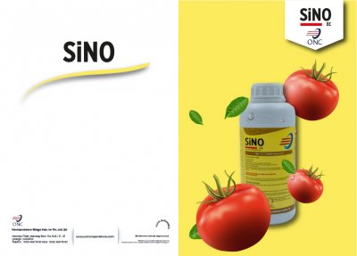 SİNO