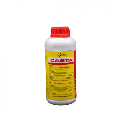 CASTA