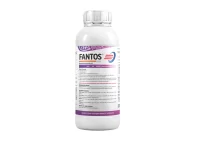 FANTOS 10 SC